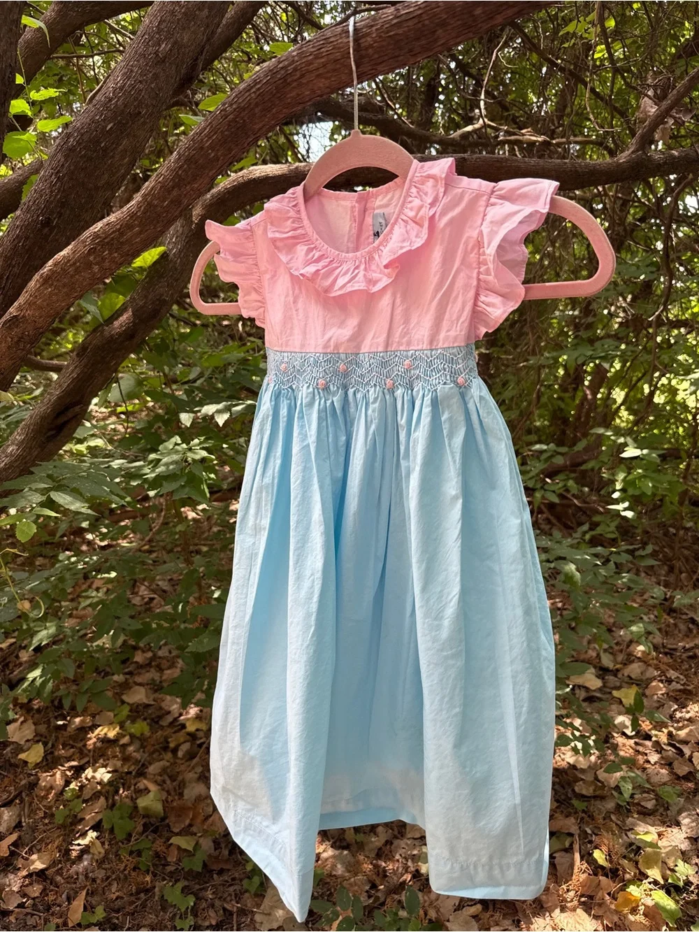 Girls Pink & Light Blue Smocked Ruffle Dress